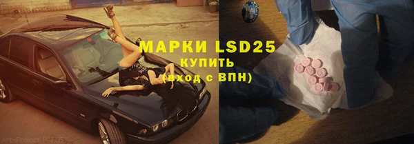индика Баксан