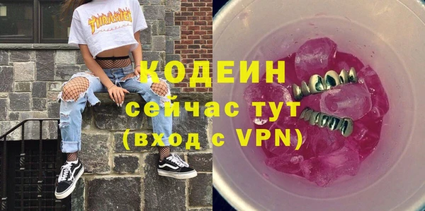 индика Баксан