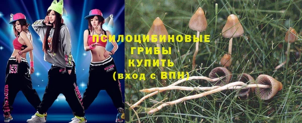индика Баксан