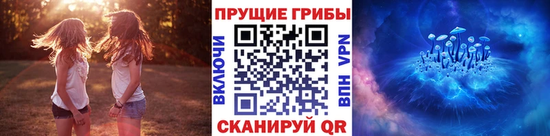 Купить закладки  Билибино  Галлюциногенные грибы GOLDEN TEACHER 